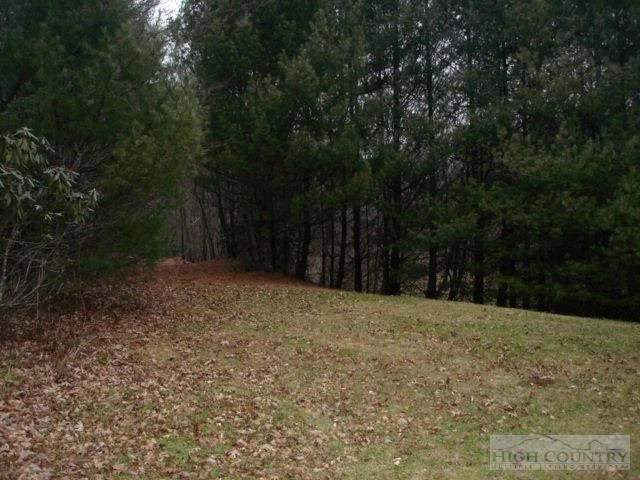 Image number 10 for the current listing