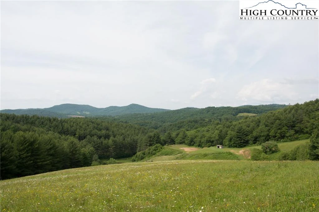 Image number 1 for the current listing