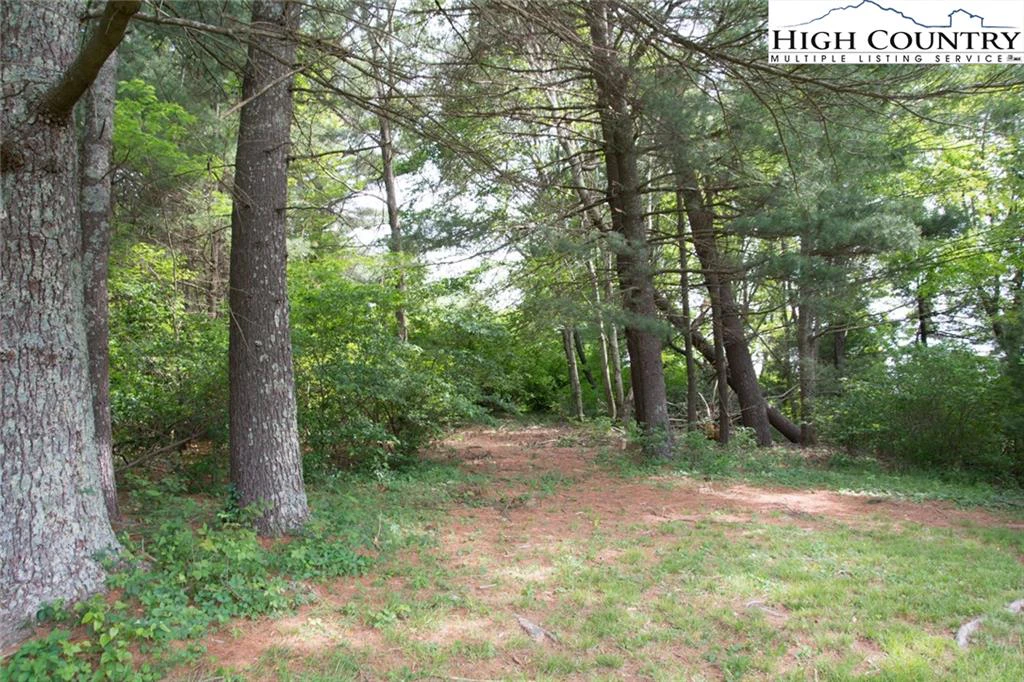 Image number 13 for the current listing