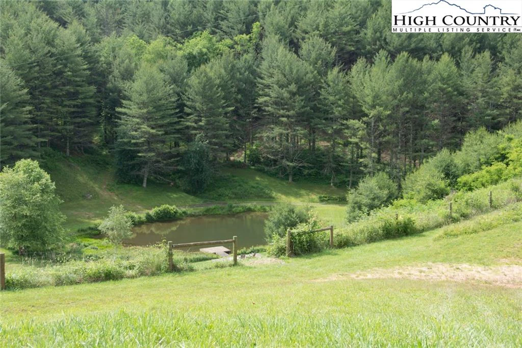 Image number 4 for the current listing