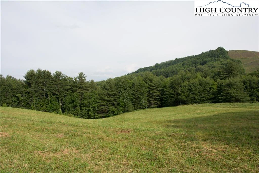 Image number 10 for the current listing