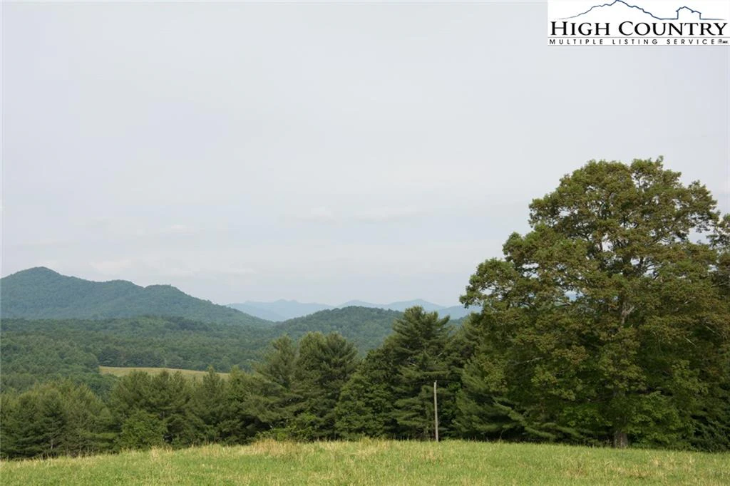 Image number 11 for the current listing