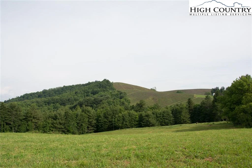 Image number 12 for the current listing