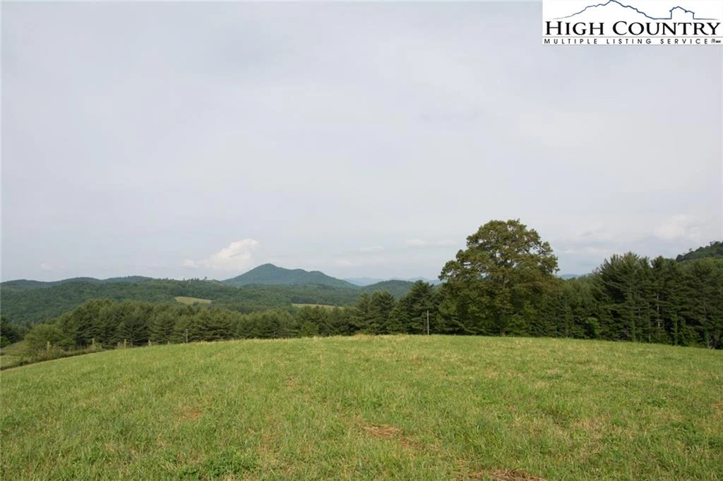 Image number 2 for the current listing