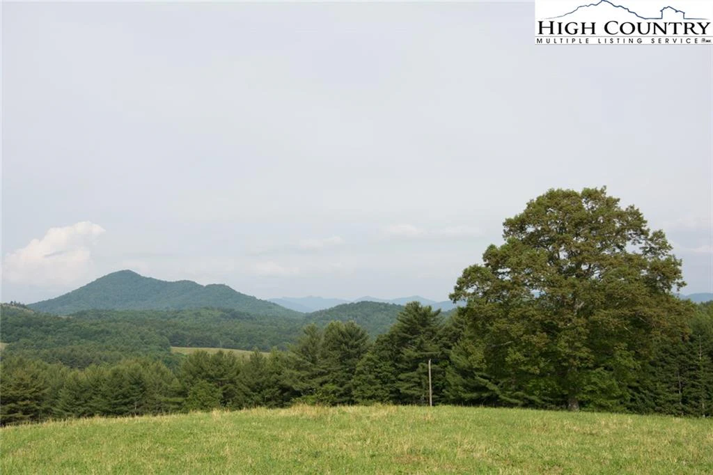 Image number 14 for the current listing