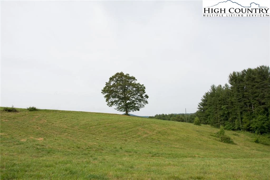 Image number 17 for the current listing