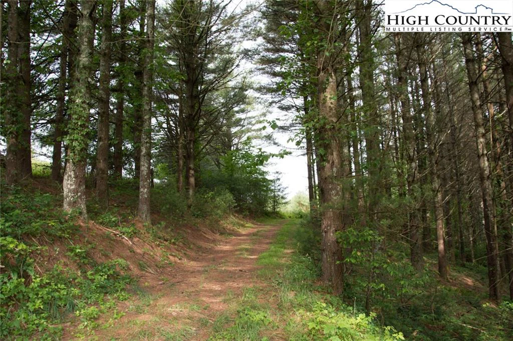 Image number 18 for the current listing