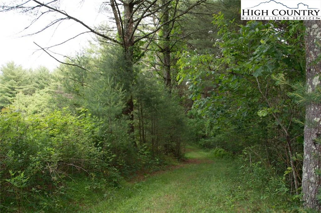 Image number 20 for the current listing