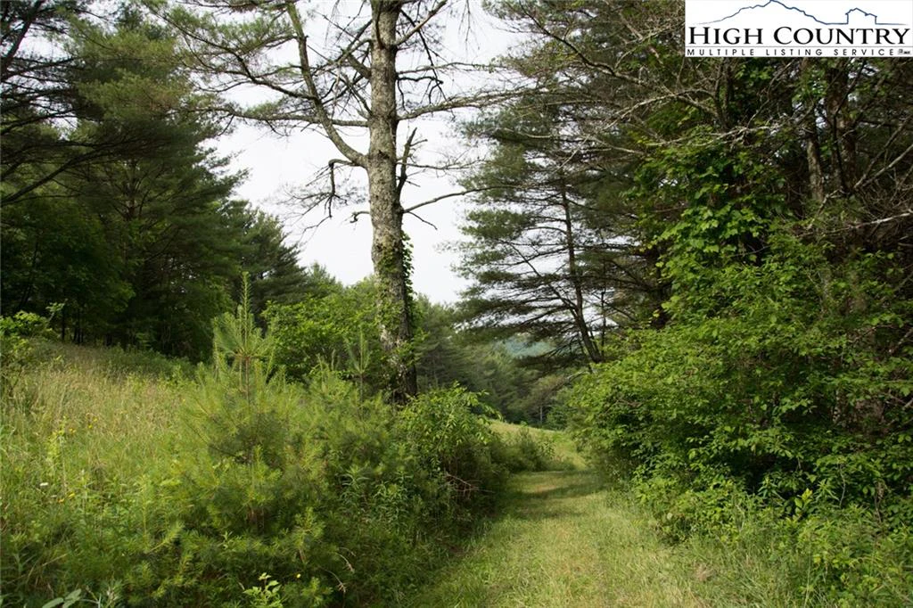 Image number 21 for the current listing