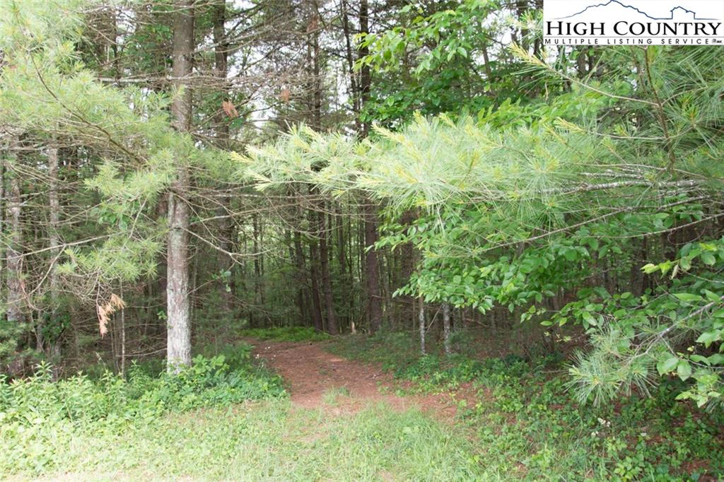 Image number 23 for the current listing