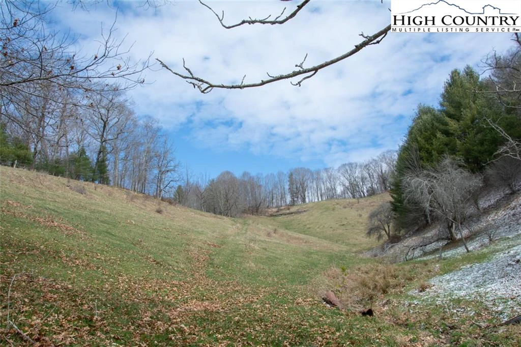 Image number 1 for the current listing