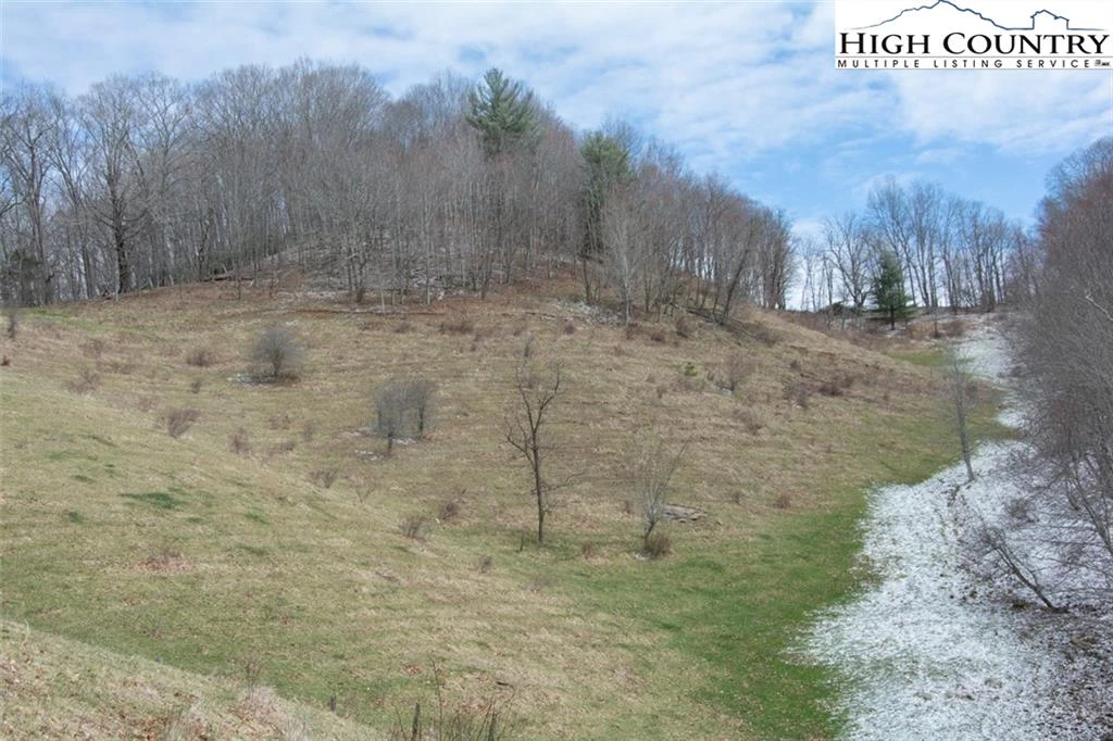 Image number 16 for the current listing