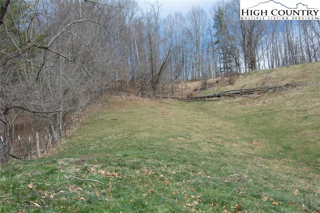 Image number 2 for the current listing
