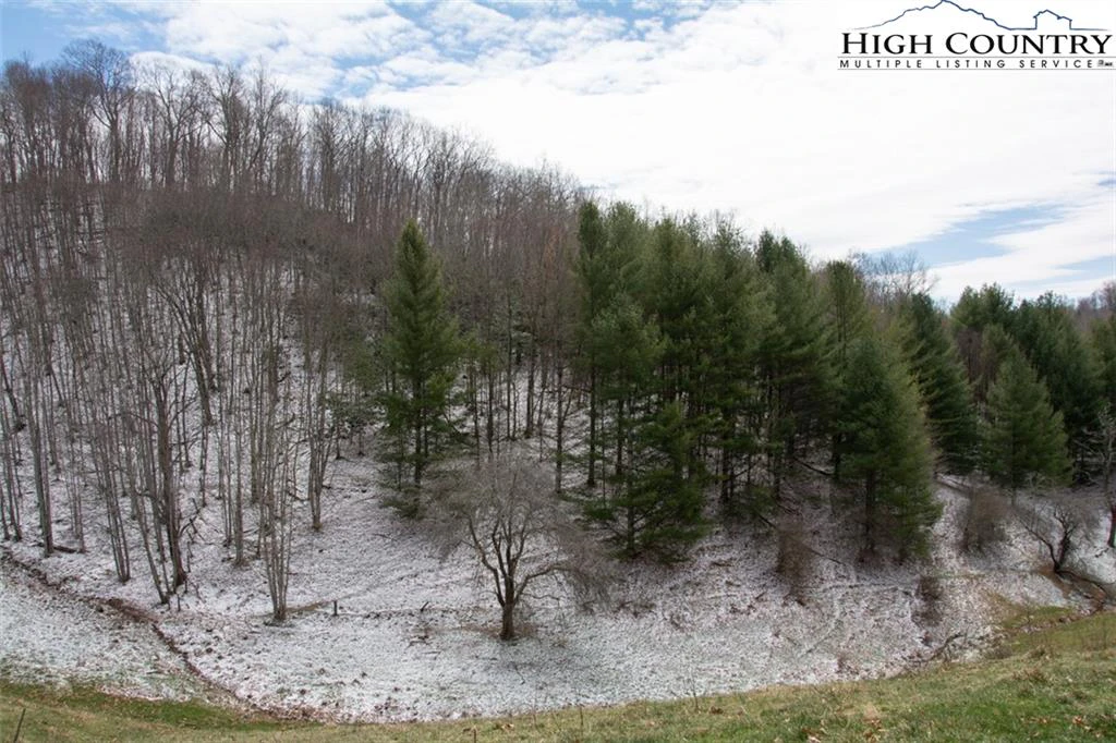 Image number 14 for the current listing
