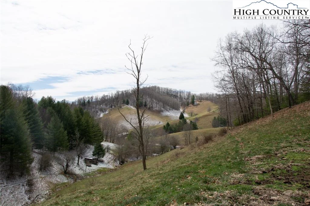 Image number 13 for the current listing