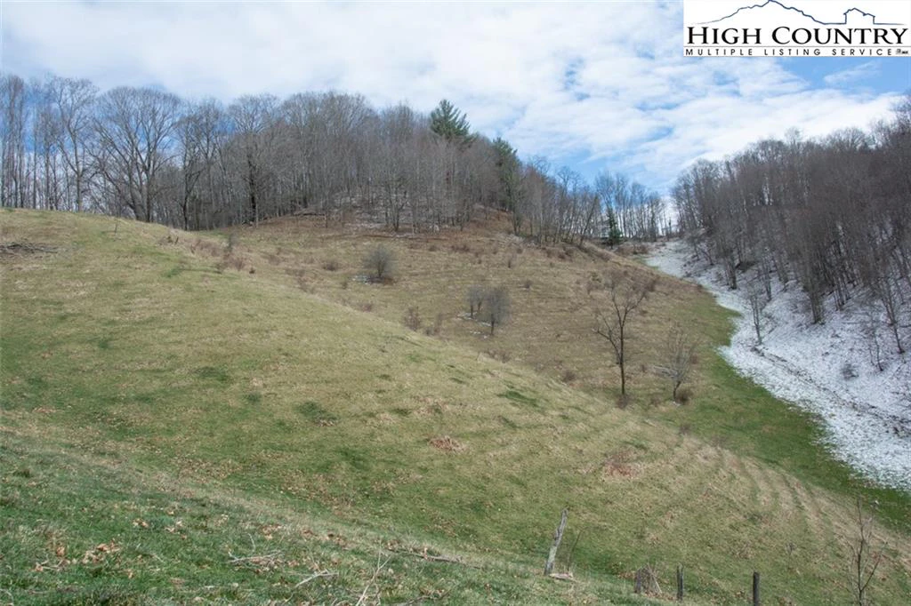 Image number 12 for the current listing
