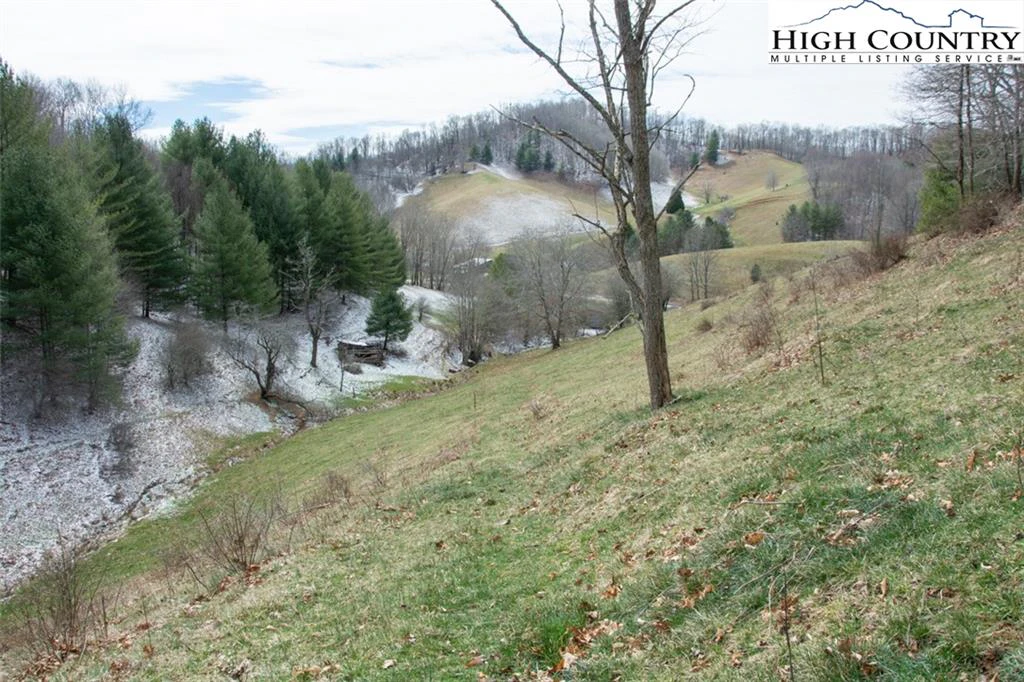 Image number 11 for the current listing