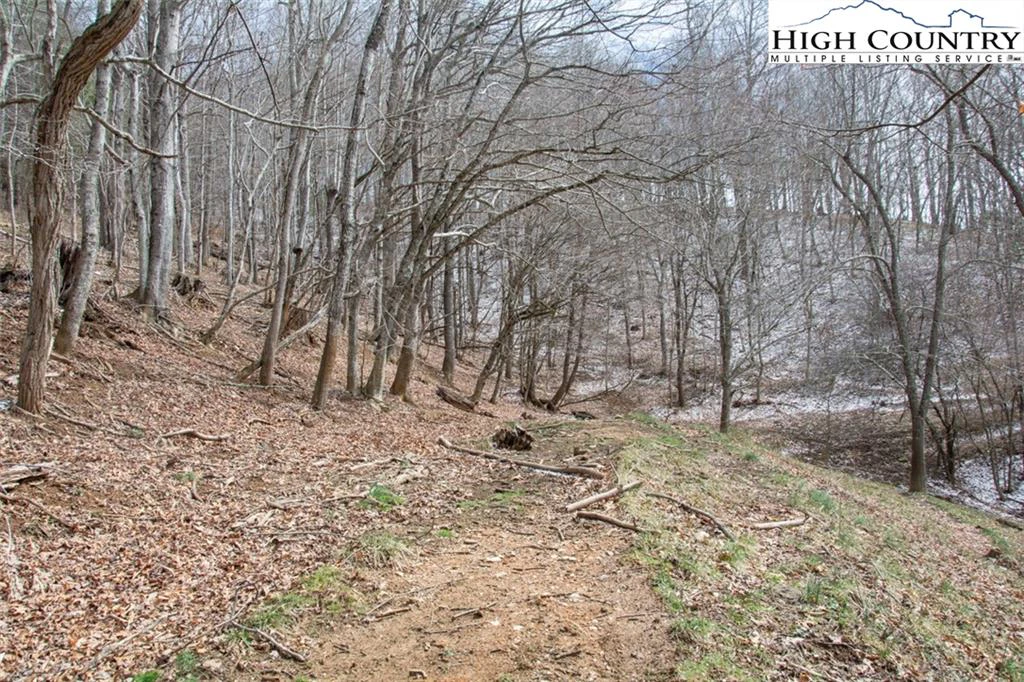 Image number 6 for the current listing