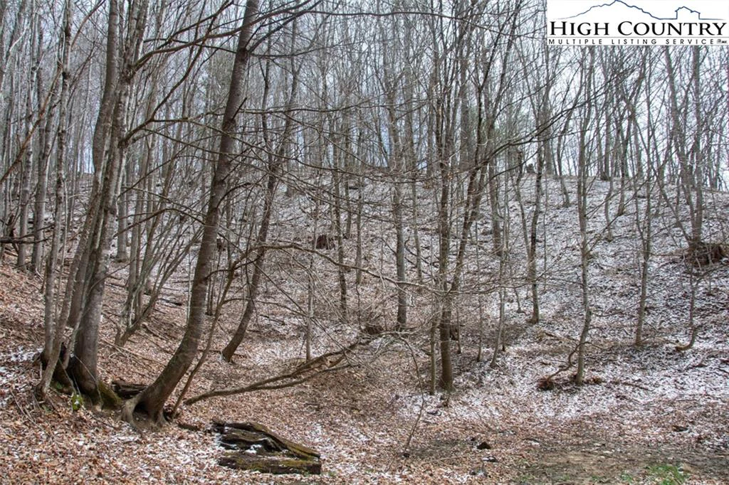 Image number 5 for the current listing