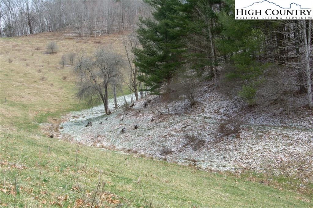 Image number 19 for the current listing