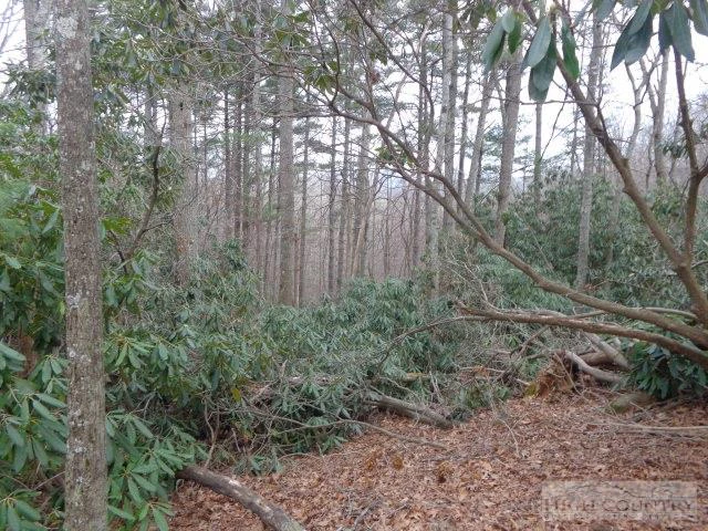Image number 1 for the current listing