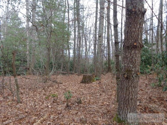 Image number 4 for the current listing