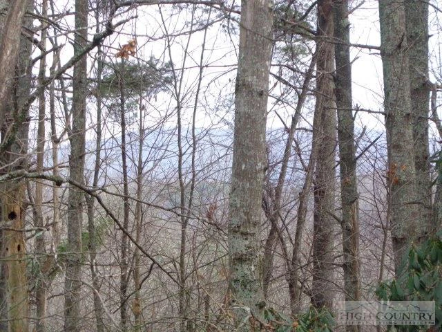 Image number 5 for the current listing