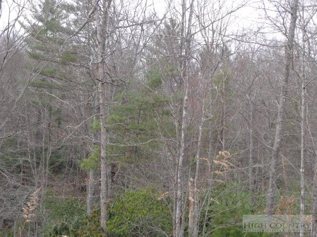 Image number 6 for the current listing