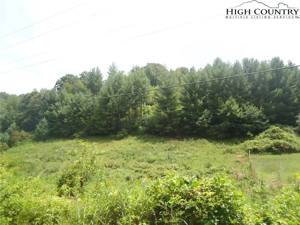 Image number 1 for the current listing