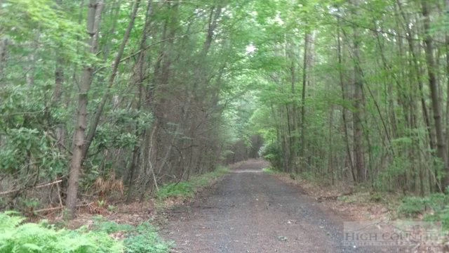 Image number 1 for the current listing