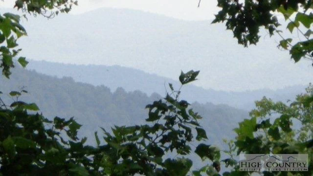 Image number 4 for the current listing