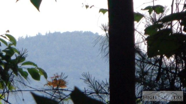 Image number 5 for the current listing