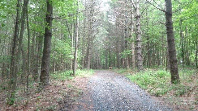 Image number 8 for the current listing