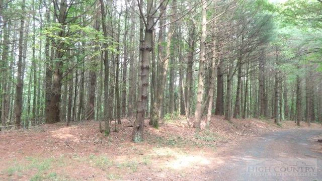 Image number 9 for the current listing