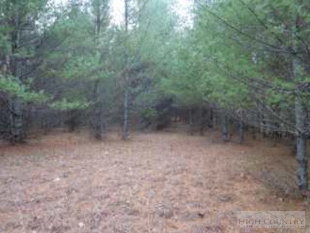 Image number 11 for the current listing