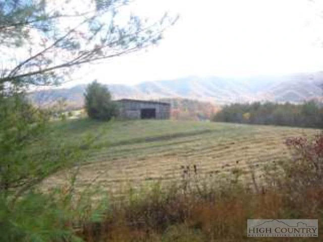 Image number 7 for the current listing