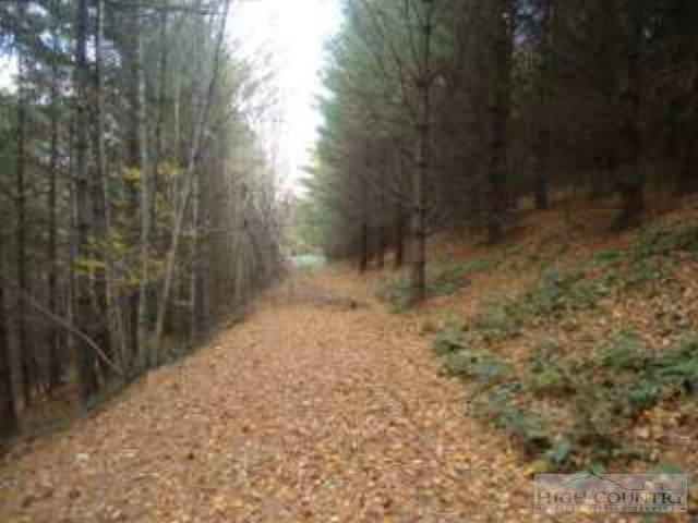 Image number 5 for the current listing