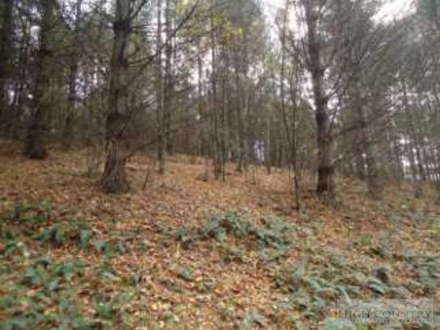 Image number 4 for the current listing