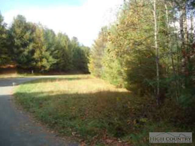 Image number 3 for the current listing