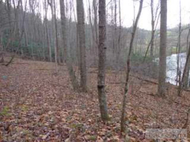 Image number 2 for the current listing