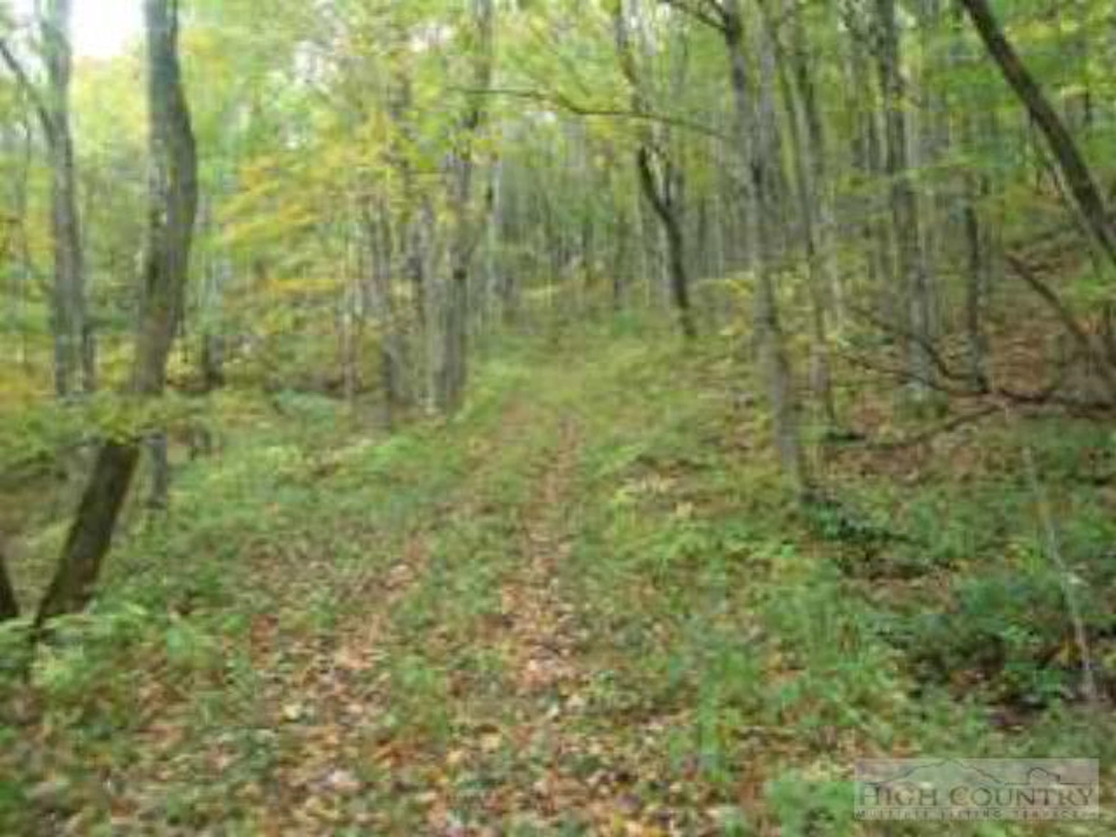 Image number 1 for the current listing