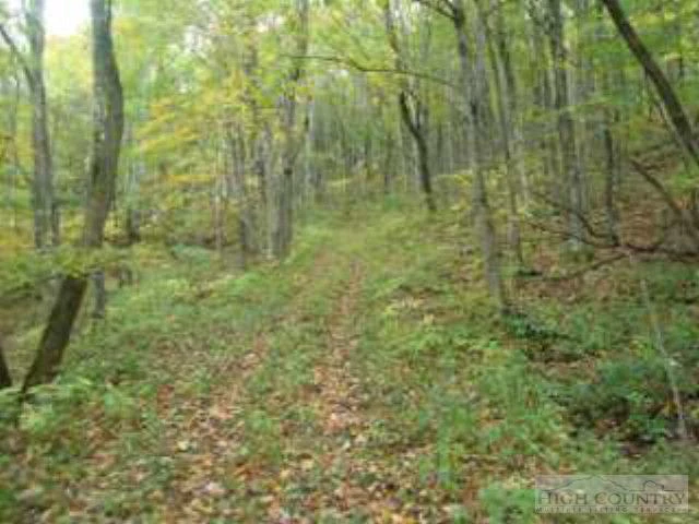 Image number 1 for the current listing