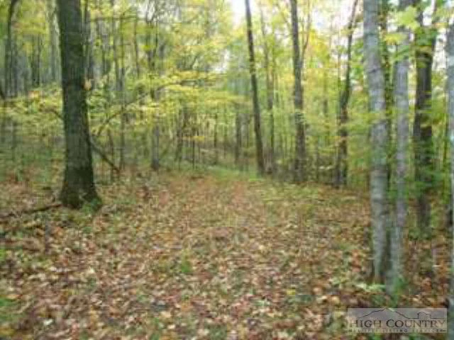 Image number 5 for the current listing