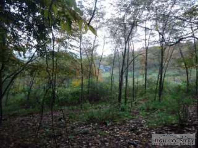 Image number 6 for the current listing