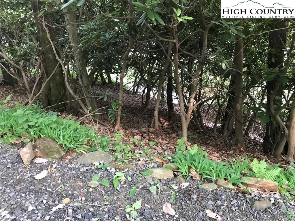 Image number 14 for the current listing
