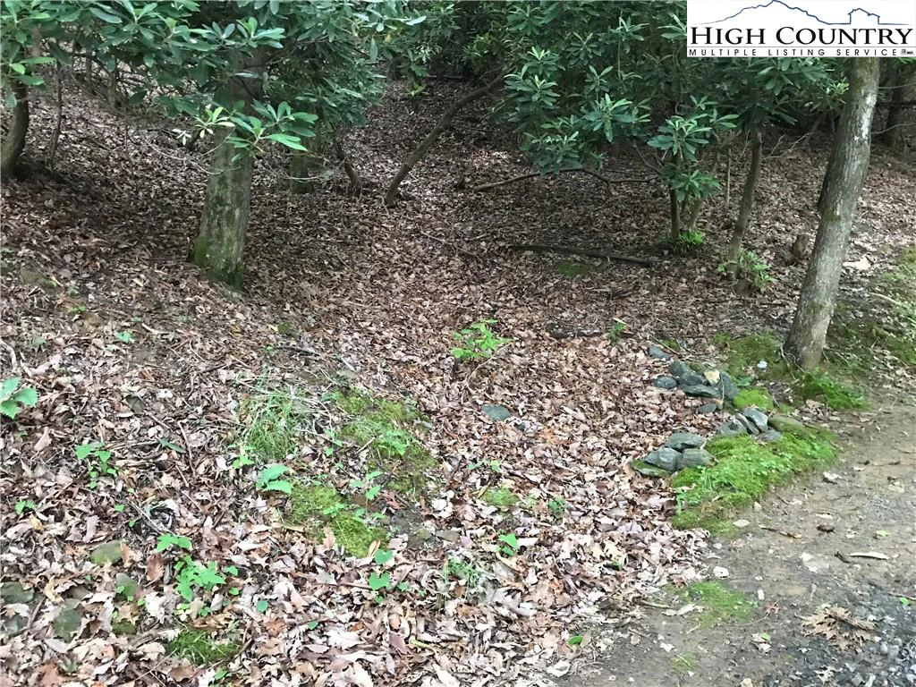 Image number 13 for the current listing