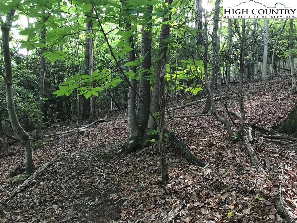 Image number 11 for the current listing