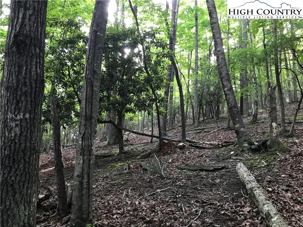Image number 9 for the current listing