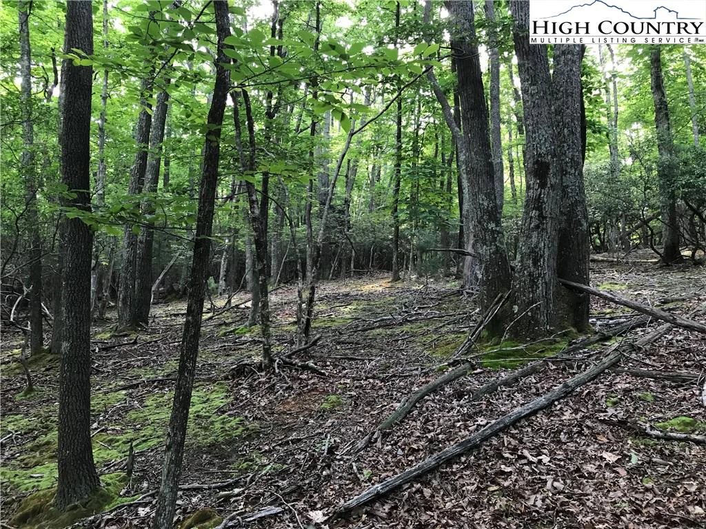 Image number 7 for the current listing