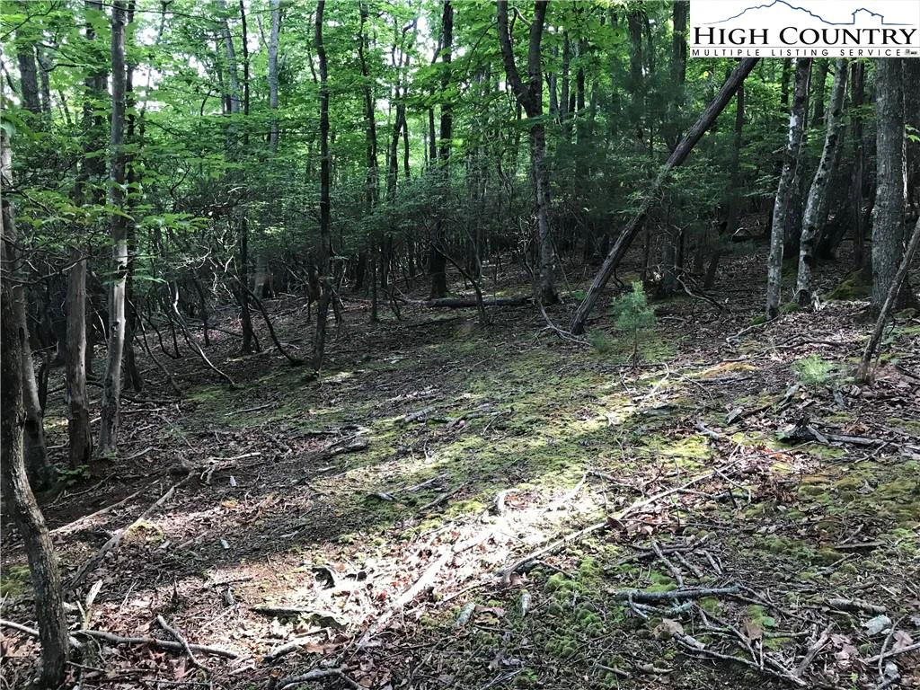 Image number 6 for the current listing